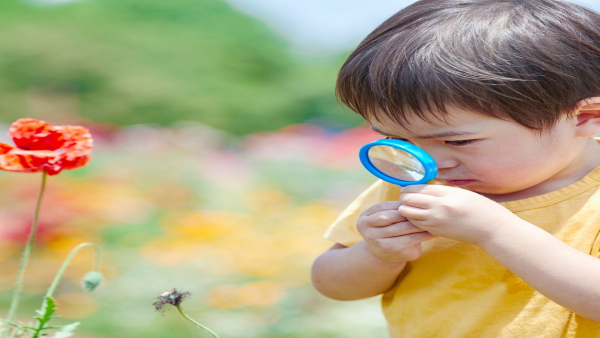 もう失敗しない！介護施設の求人票から「働きやすさ」を見抜く5つのポイント